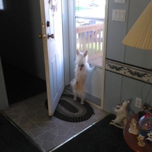 Meet your Posher, Linda